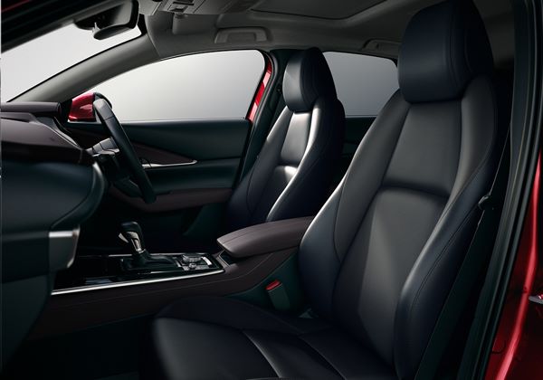 CX 30 L